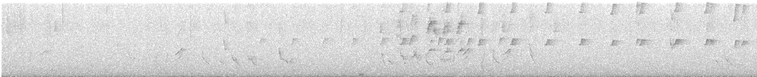 Maracaibo Tody-Flycatcher - ML647431904