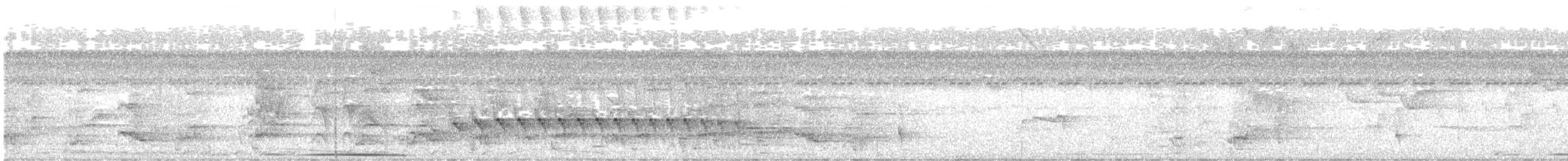 Dusky Antbird - ML647432085