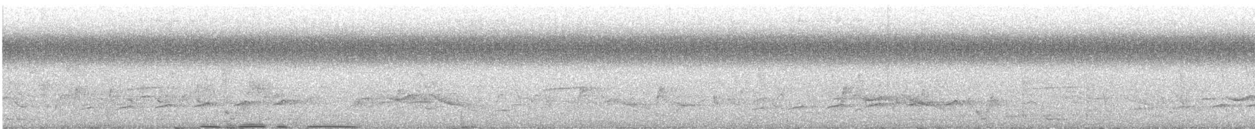 Fork-tailed Drongo-Cuckoo - ML647432606