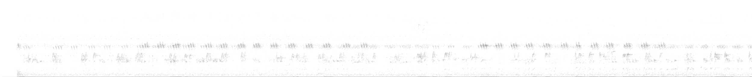 White-breasted Waterhen - ML647432705