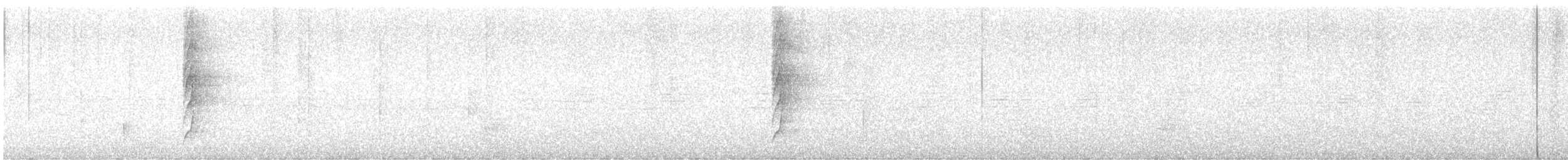 White-throated Spadebill - ML647432785