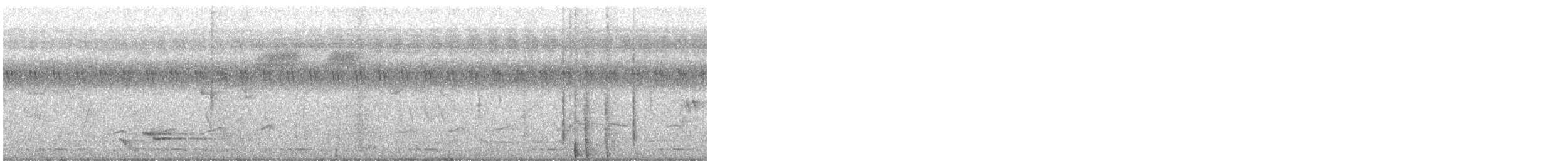 Gabelschwanz-Drongokuckuck - ML647435086