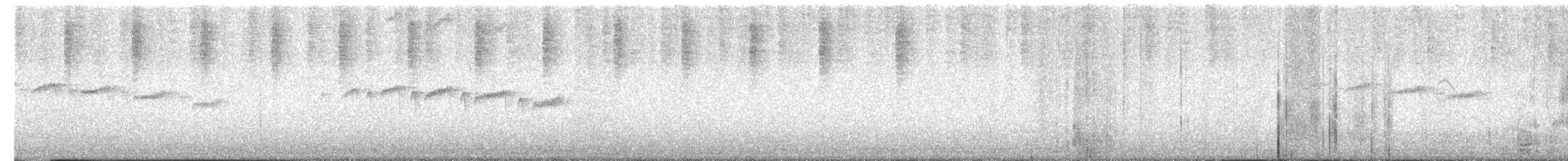 Squamate Antbird - ML647436430