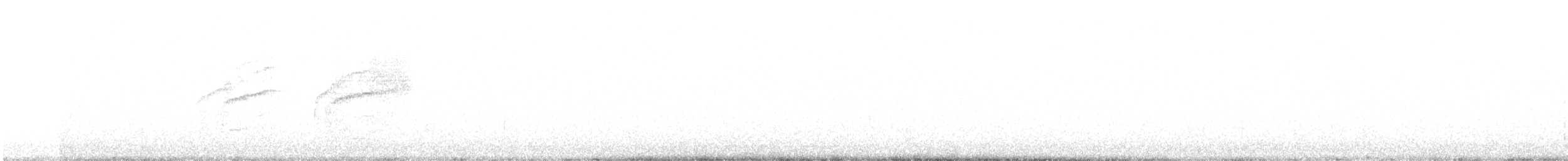 White-banded Tyrannulet - ML647436916