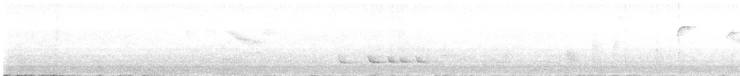 White-winged Becard - ML647437037