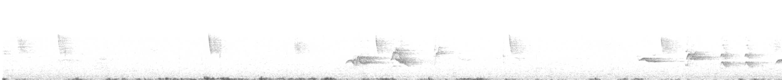 Austral Thrush - ML647437104