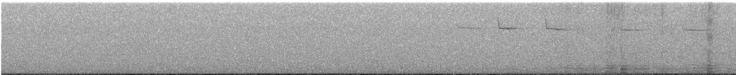 Amerikabaumläufer - ML647438815