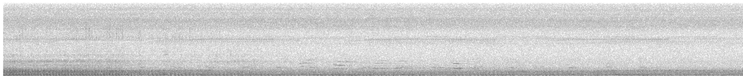 Brasilzwergkauz - ML647439163