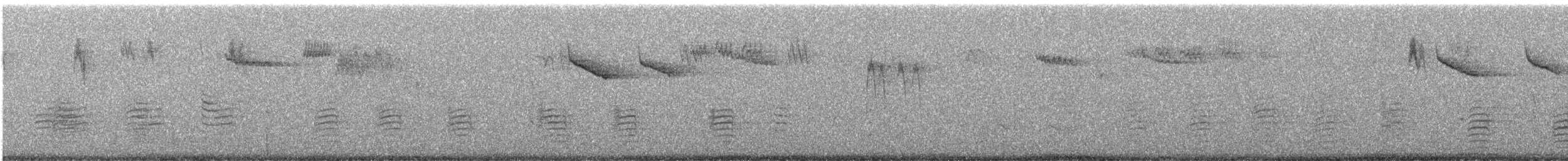 Amerikabaumläufer - ML647439372