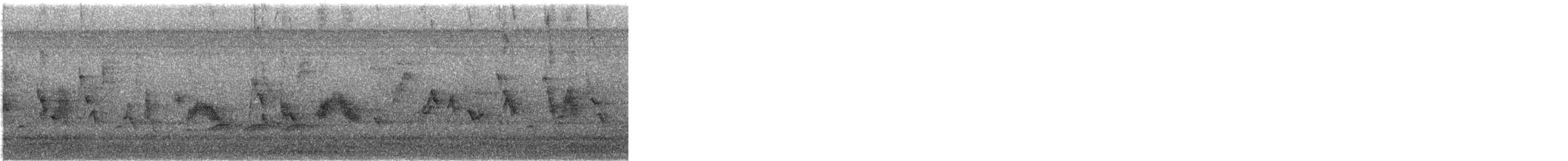 House Finch - ML647439432