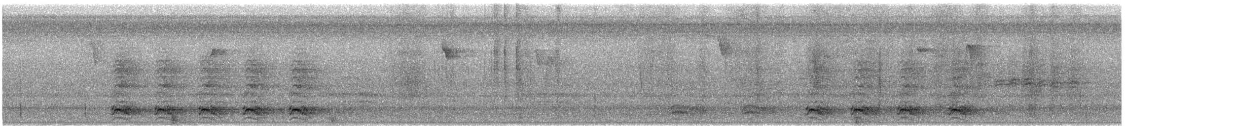 Amerikakrähe - ML647439510