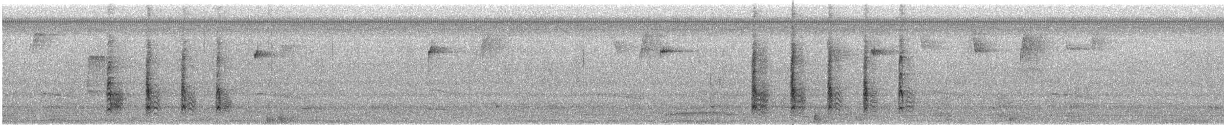 Red-bellied Woodpecker - ML647439565