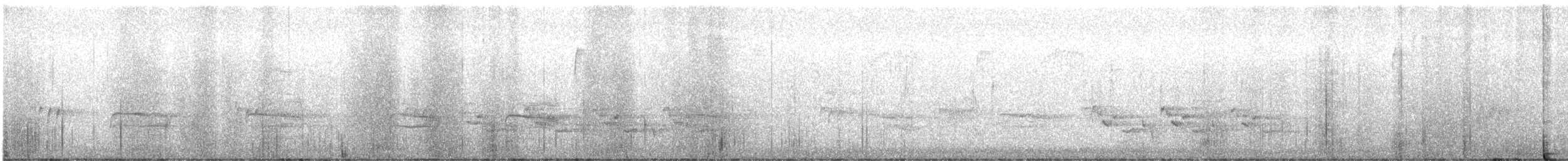 Carolina Wren - ML647439829