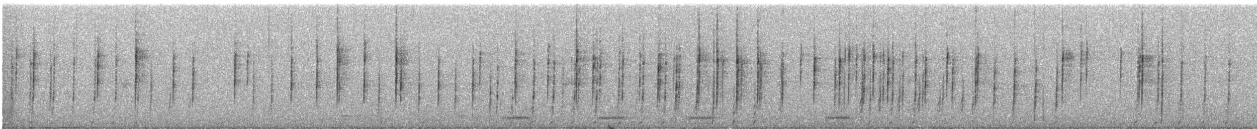California Quail - ML647440264