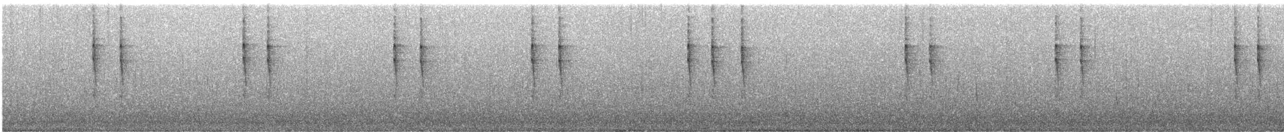 Pacific Wren - ML647440364