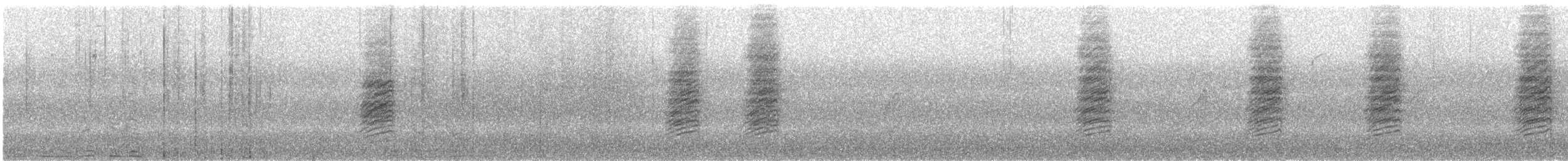 White-collared Jay - ML647440450