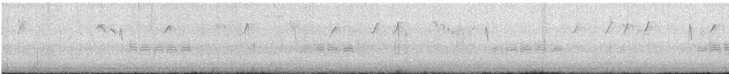 Carolina Chickadee - ML647440576