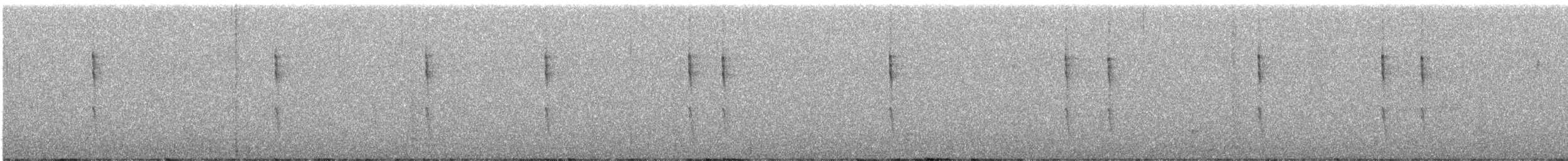 Pacific Wren - ML647440610