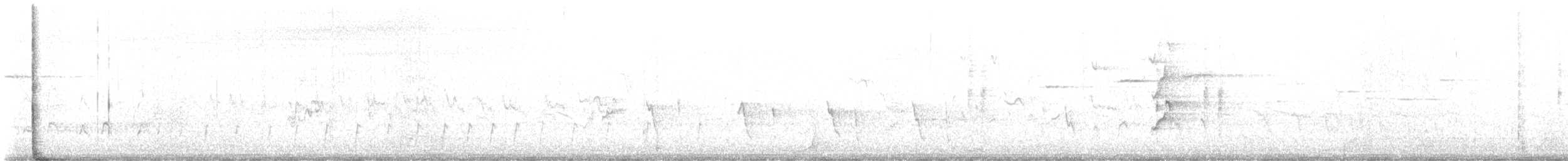 Pied Oystercatcher - ML647440662