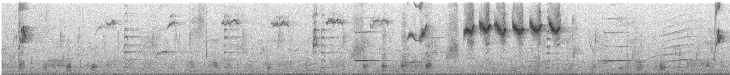 European Starling - ML647440717