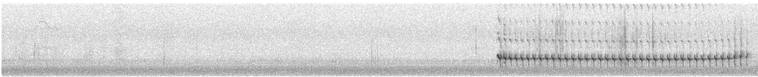 Мурашниця кохабамбанська - ML647441232