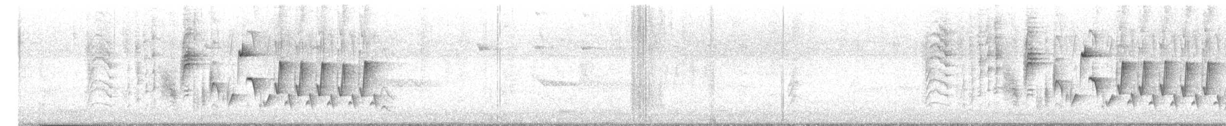 Southern House Wren - ML647443137