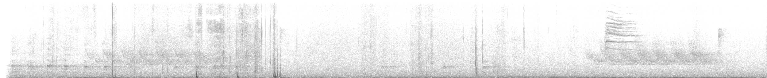 Carolina Wren - ML647443179