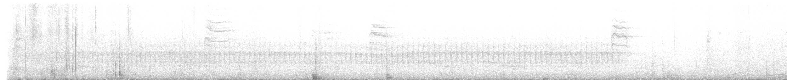 Belted Kingfisher - ML647443228