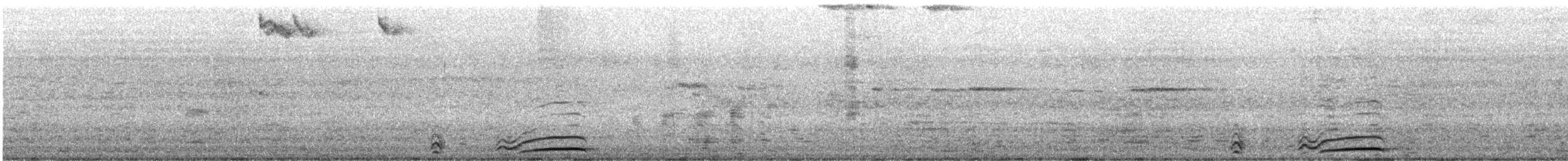 Burrowing Owl - ML647444580