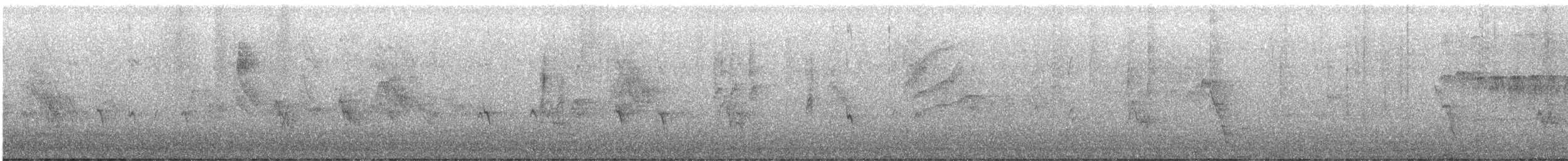 Crociere comune - ML647444952