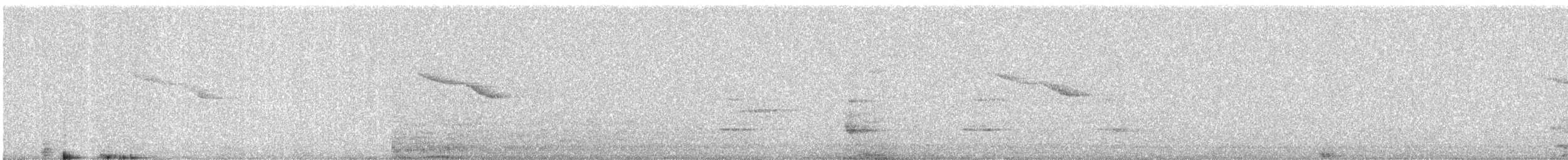 Oriental Magpie-Robin - ML647445602