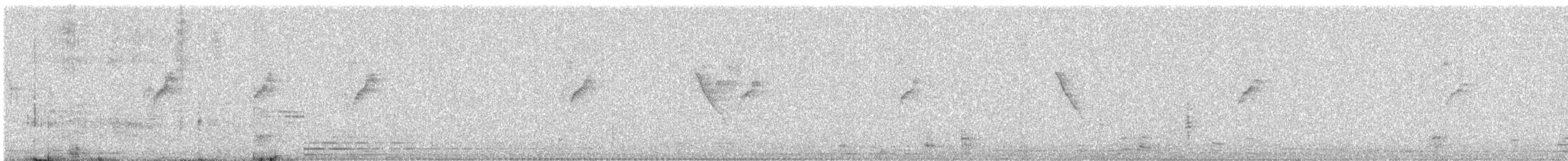 Purple Sunbird - ML647445639