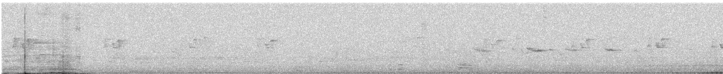 Luì di Hume - ML647445662