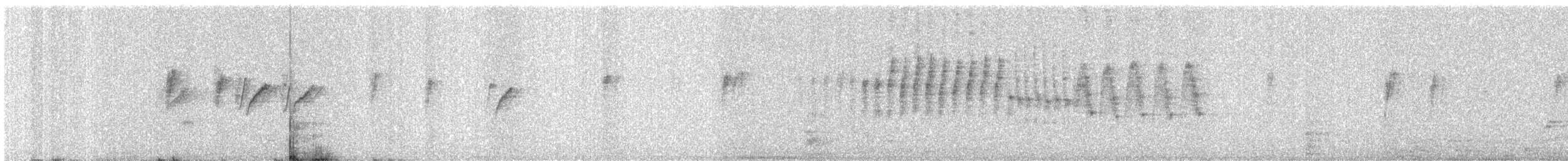 Purple Sunbird - ML647445698