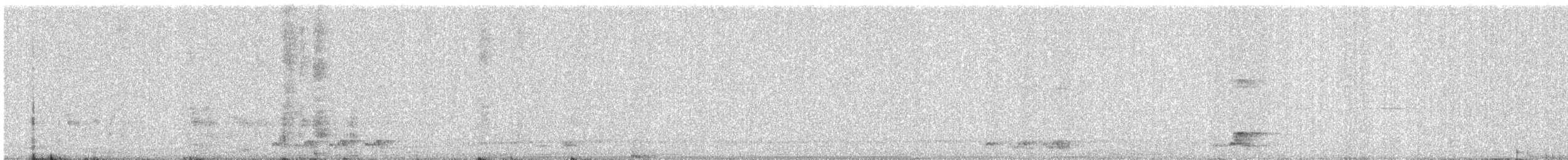 Asian Koel - ML647445767