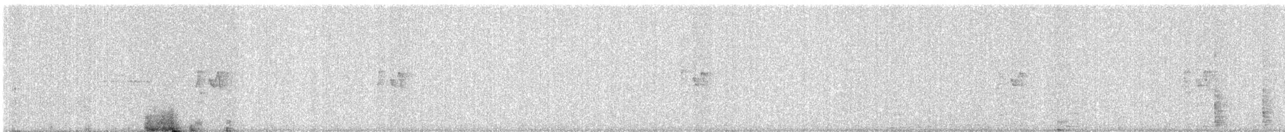 Luì di Hume - ML647445883