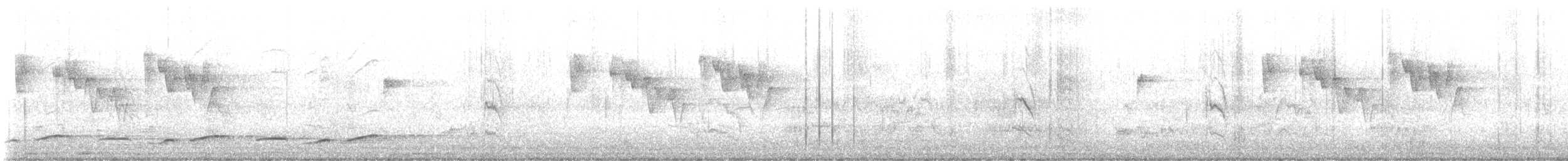 gråsidesanger - ML647446071