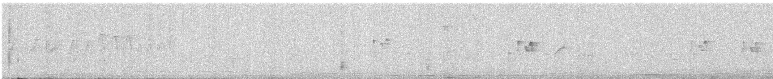 blekbrynsanger - ML647446146