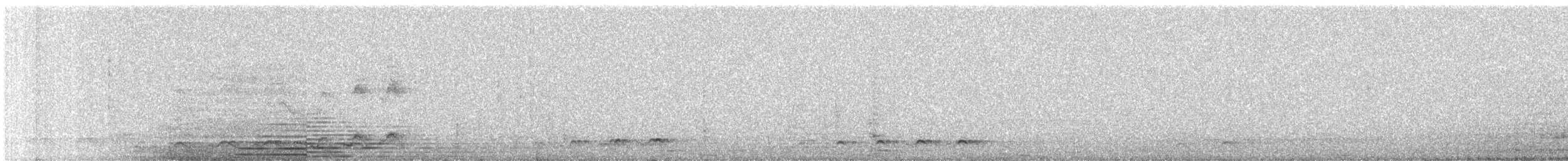 grønnebbkoel - ML647446168