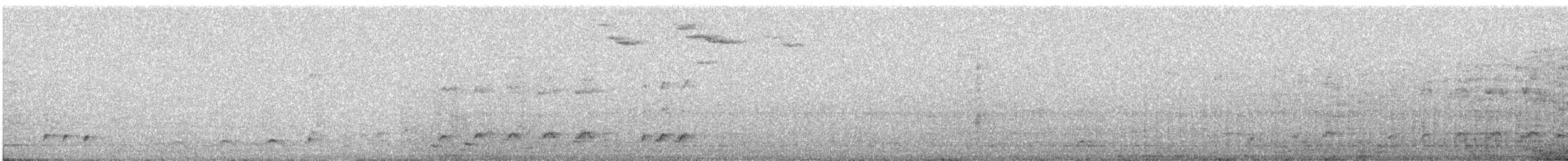 grønnebbkoel - ML647446180