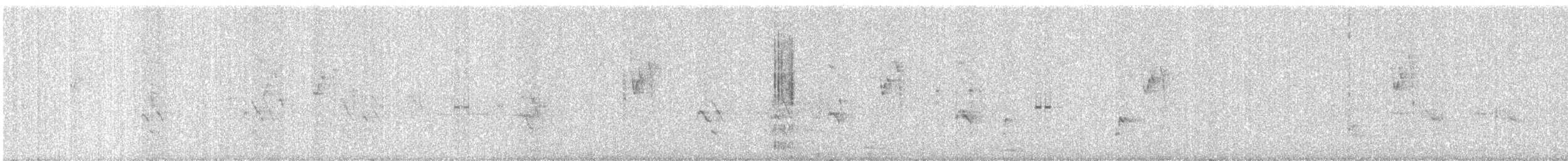 halsbåndparakitt - ML647446258
