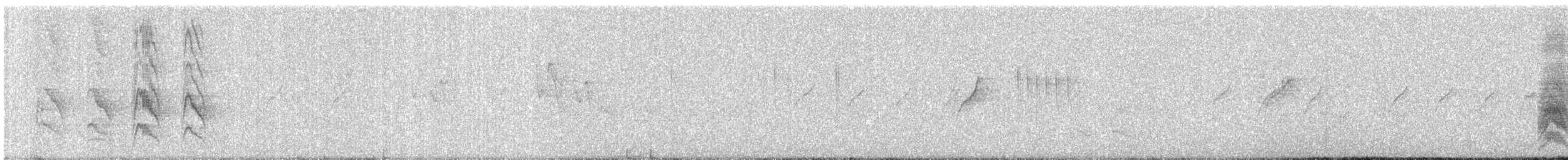 halsbåndparakitt - ML647446266