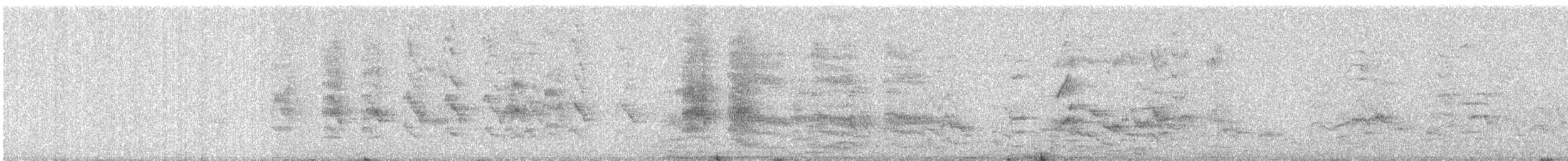 halsbåndparakitt - ML647446271