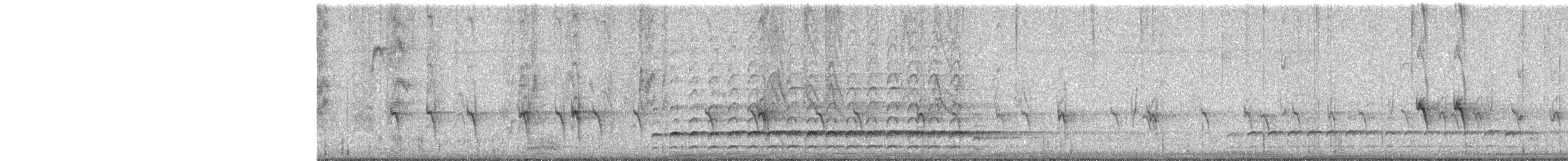 hvitbrynsvartspett - ML647446339