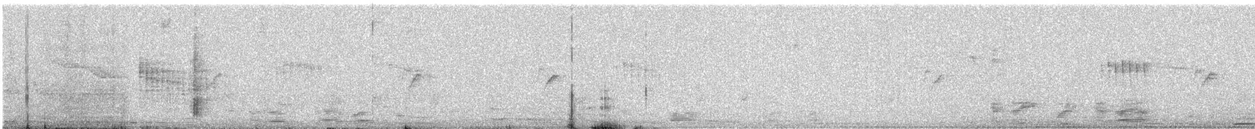 dvergfluesnapper - ML647446370