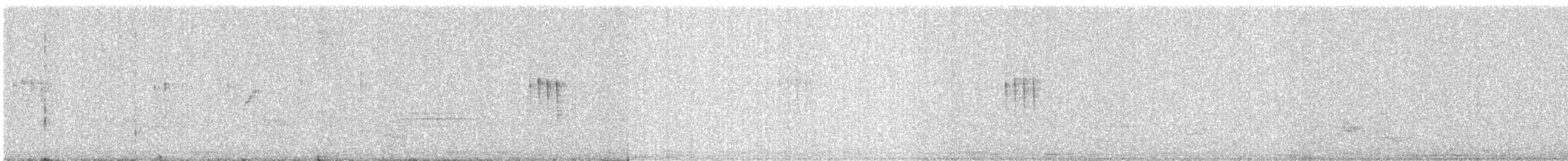 dvergfluesnapper - ML647446374