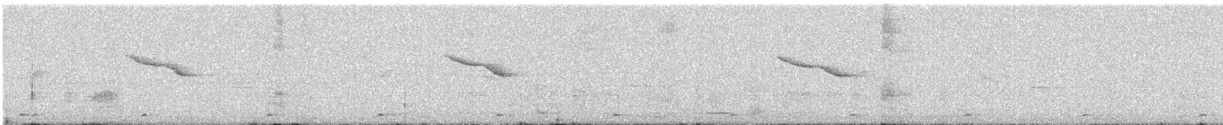 orientskjæreskvett - ML647446521