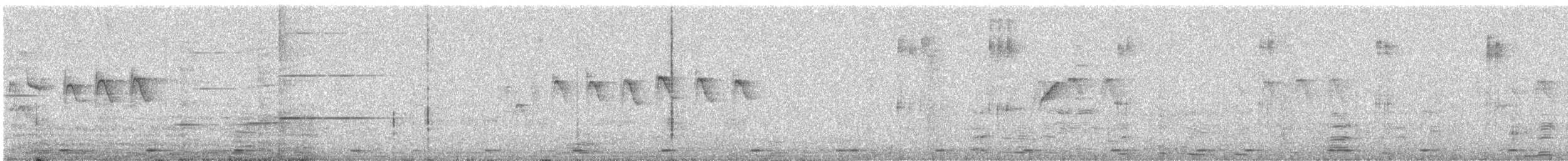 smedskjeggfugl - ML647446628