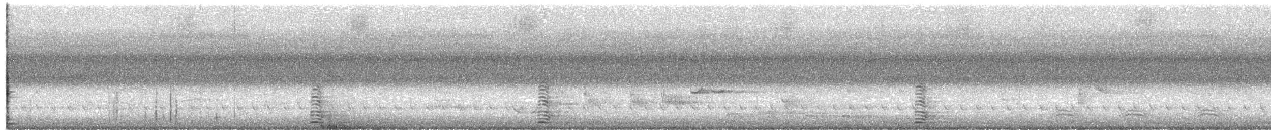 Magpie Goose - ML647447887