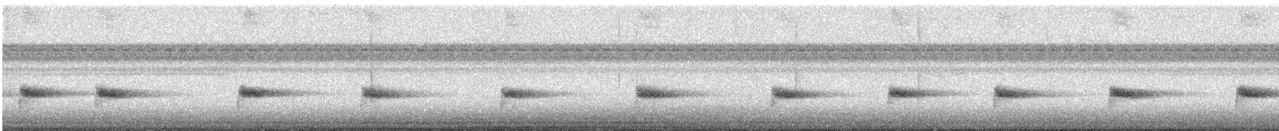 White-breasted Wood-Wren - ML647447903